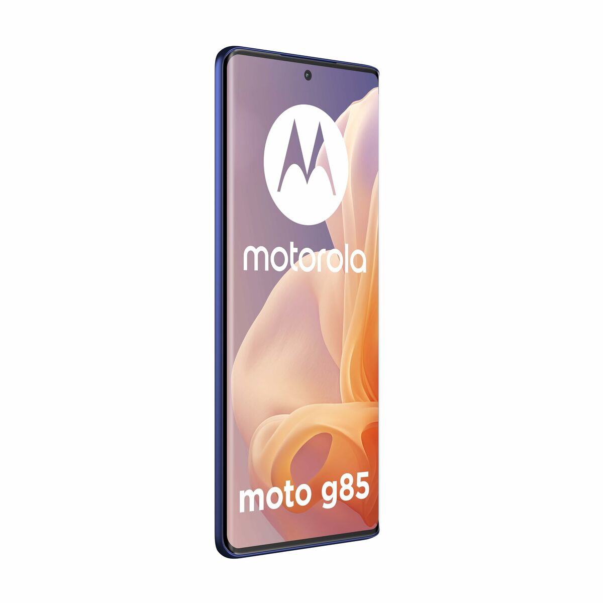 V4HFEE5B23F7E90D650DF48E821D1A661FDR6785370P10