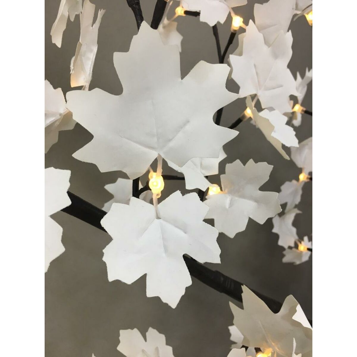 V5H8F278FEC7ECC646C5D0BE5ECD366B981R7104771P4