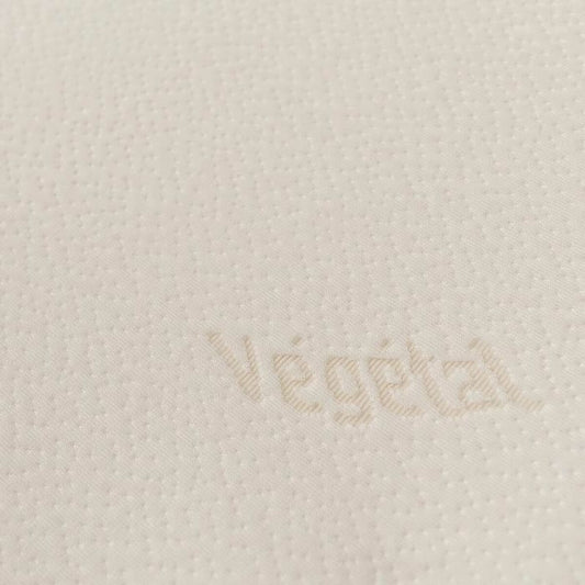 V4H92FEE1DE9C00FF9B65EB8E98D2BE644CR4997542P1