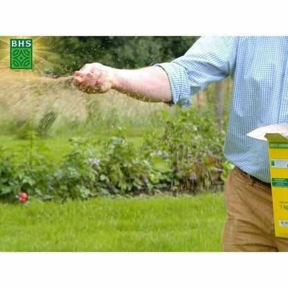 V6H29E8ACD48A359F987F31580A71EF40CER7405518P6