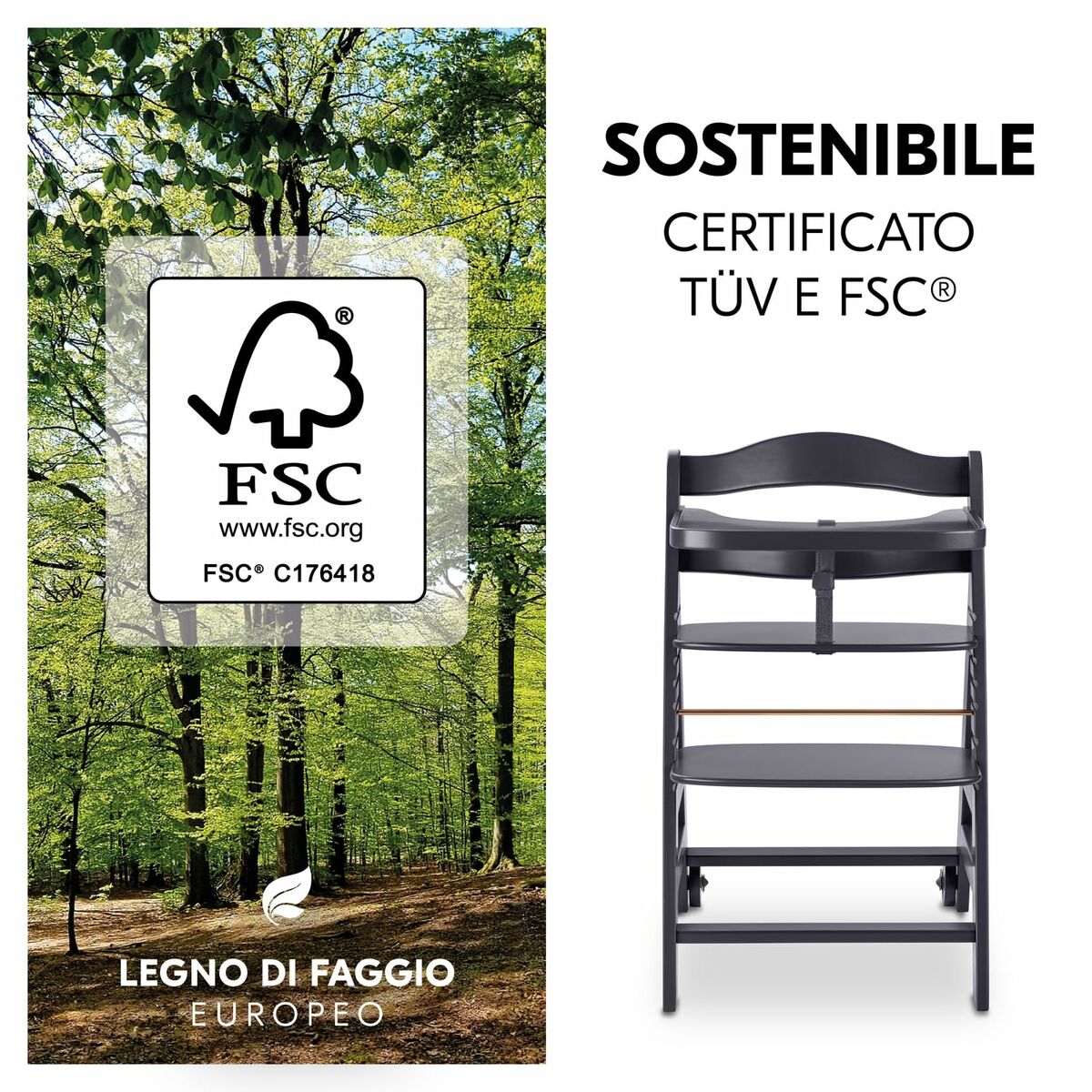 V4H5DBFBA083FED3AF6677085591F81B1C6R7054479P5