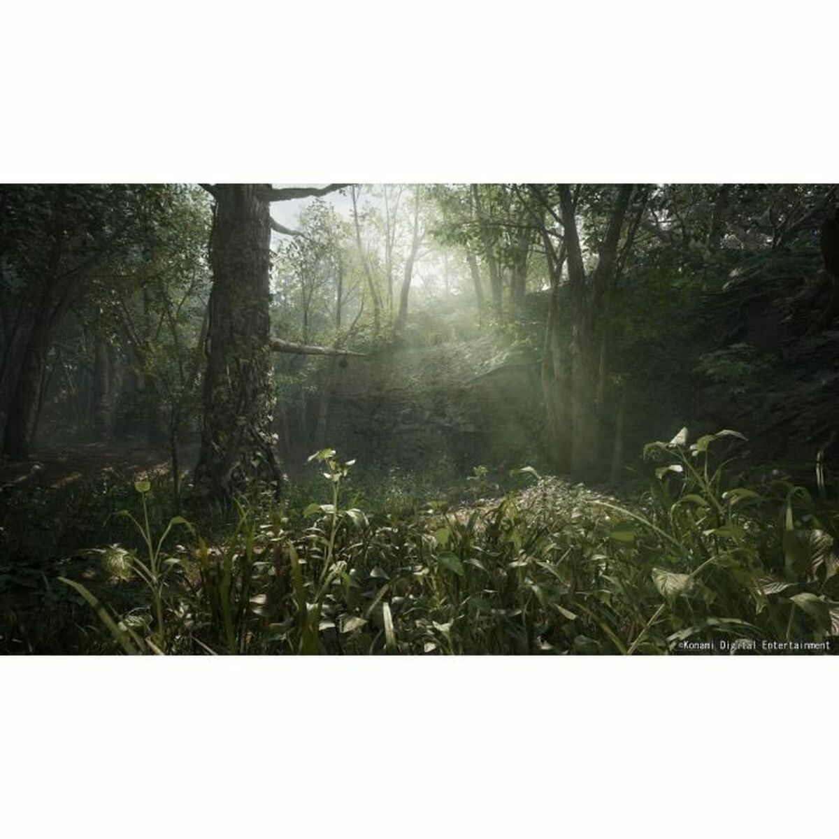 V4HCE056A1CE00F918BEF9AF0E9554FF705R6915943P5