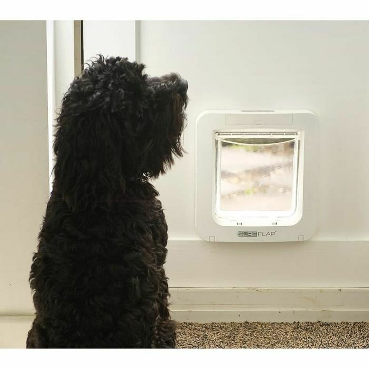 V7HB7994506F60AB8960A3AA4F8C9E77DC0R3745254P4