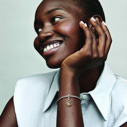 V4H9697B6D6E51E059ECECA5E3E9DE685C2R6993328P4