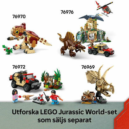 V4HD832E023365D9A0B836C2119BB70AECDR7032043P8
