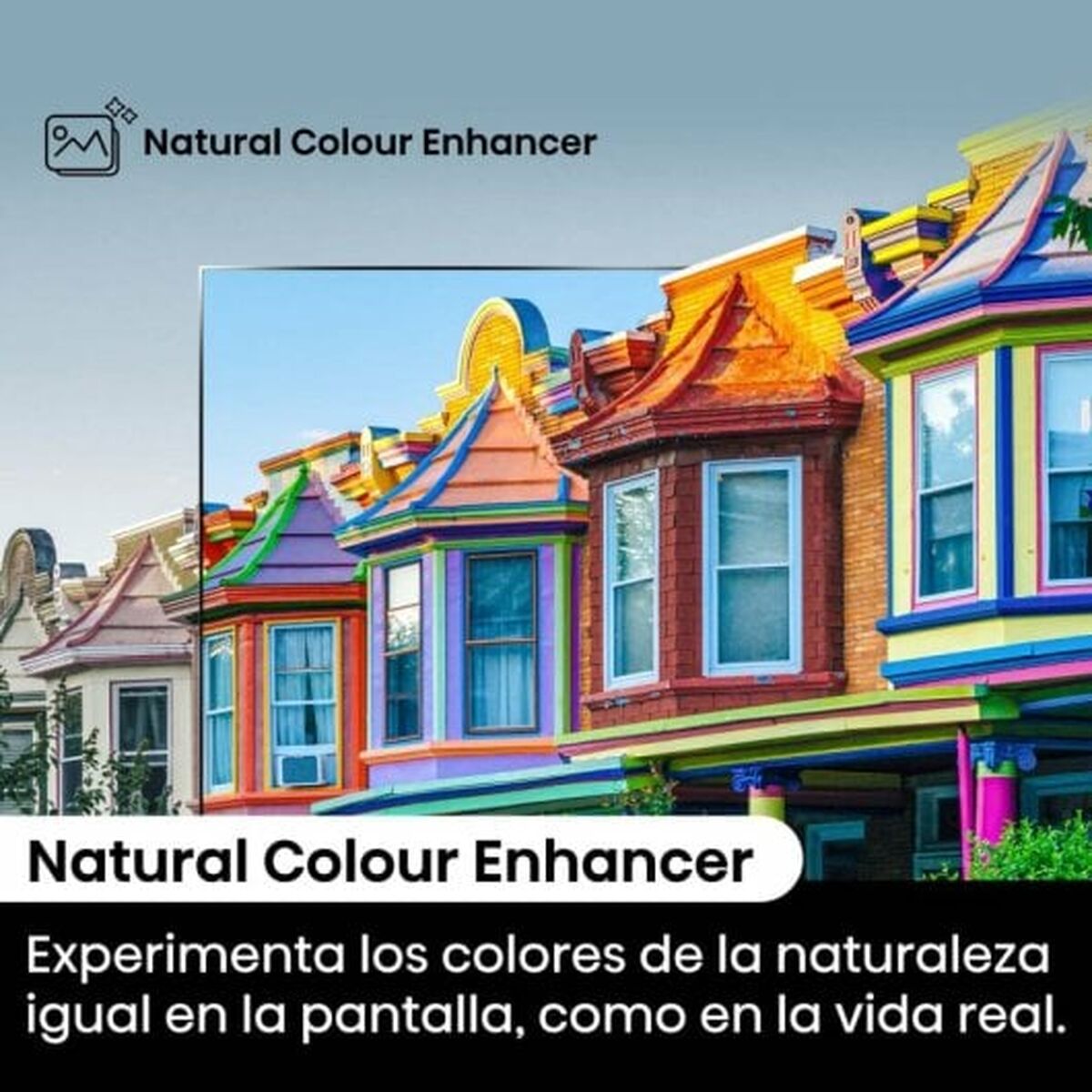 V7H1DCA43B67F65D411BA38B77B5A8B3095R6290031P5