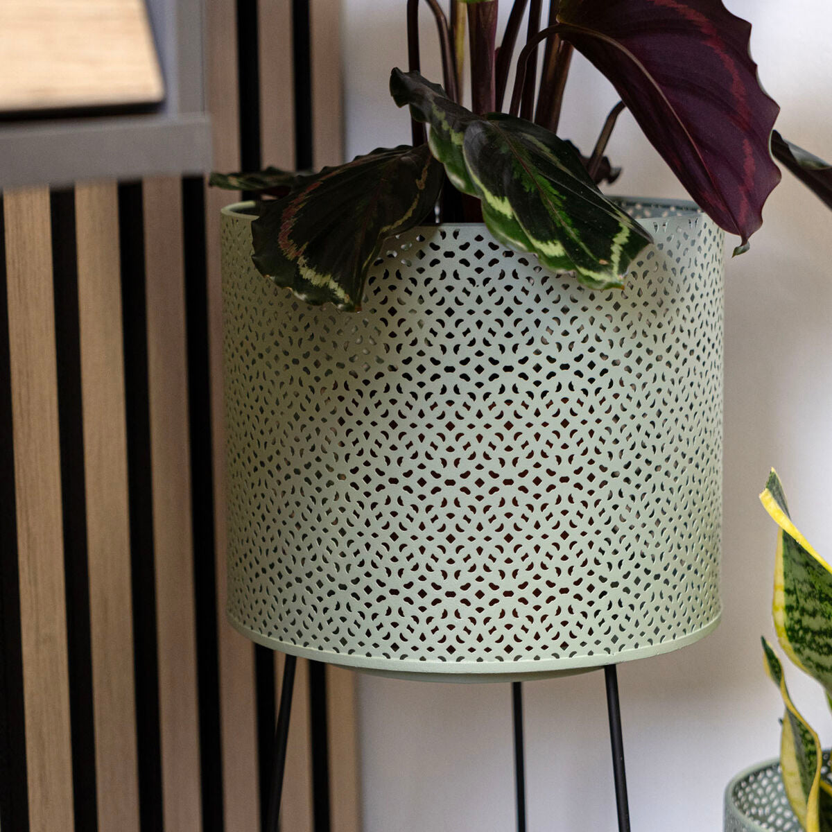 V6H4F880647457252129ECFA56C5C0E8735R5315067P8