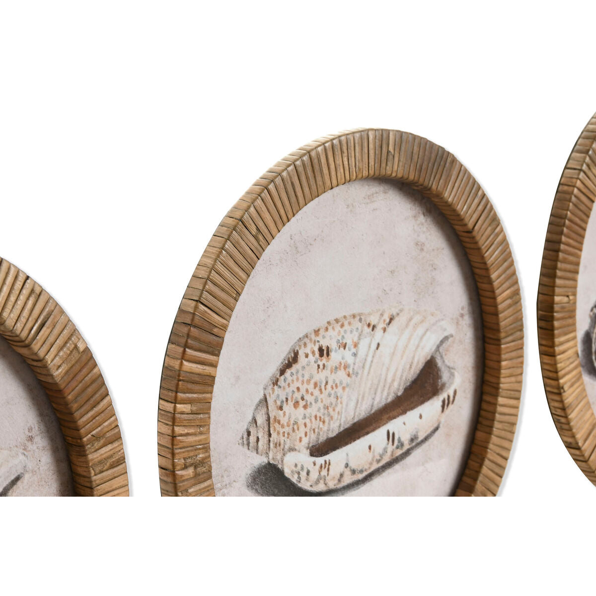 V2H9802500734AEB4F42B1F1E50E51A8E7ER7422544P2