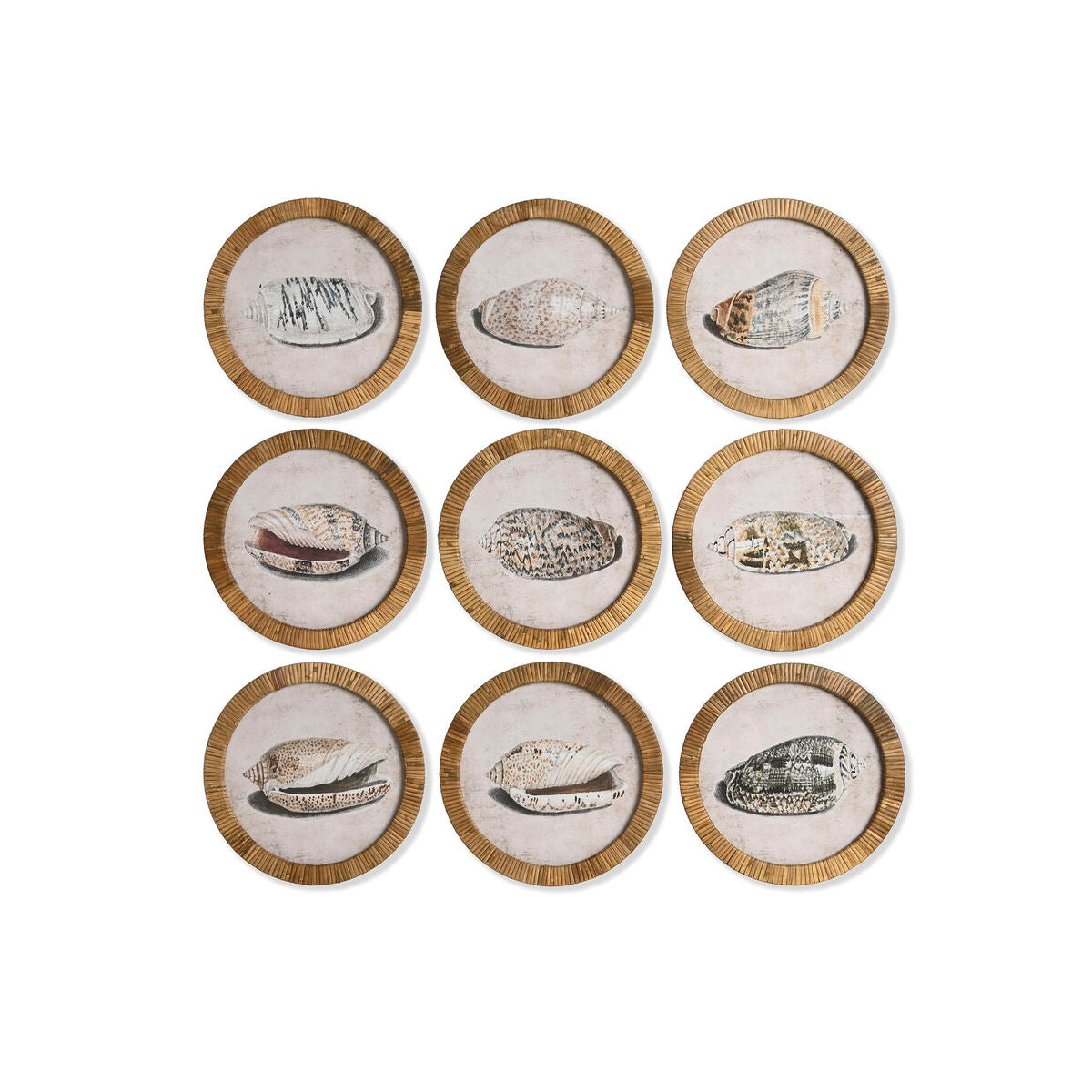 V2H73ADE1F988C38EE2289F1A1903A31F50R7422546P4