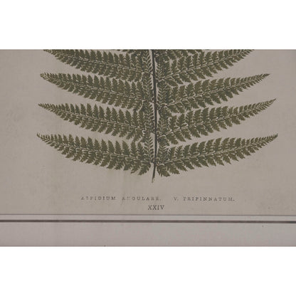 V2HB84321E047DE7247B804F1C421077A59R7429297P3