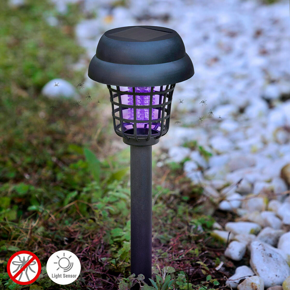 V5H6B4CB17AC95B63415E0786F3C055D332R5829491P2