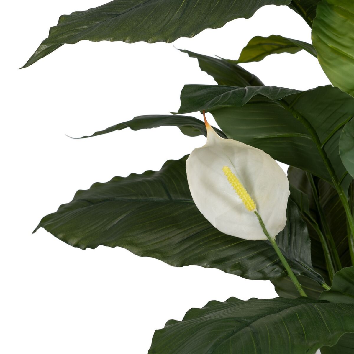 V6HB2E516C716176C551705C94C3BA4B6E8R5017687P3