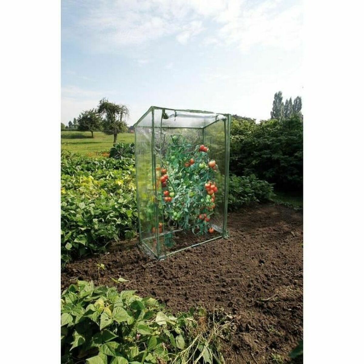 V10H370D1FD788EA4725EEA984B339E86268R5155550P2