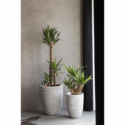 V6HA37B1191B2606D90E5D7B382074DA806R5081412P2