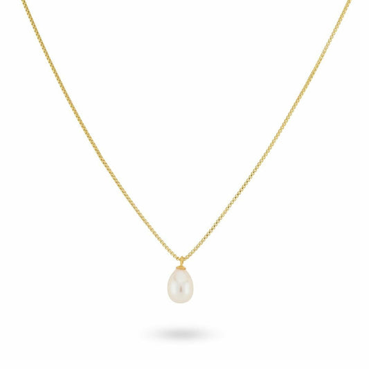 V3HAE802BD553567386A57E416B9388D94BR6186017P1